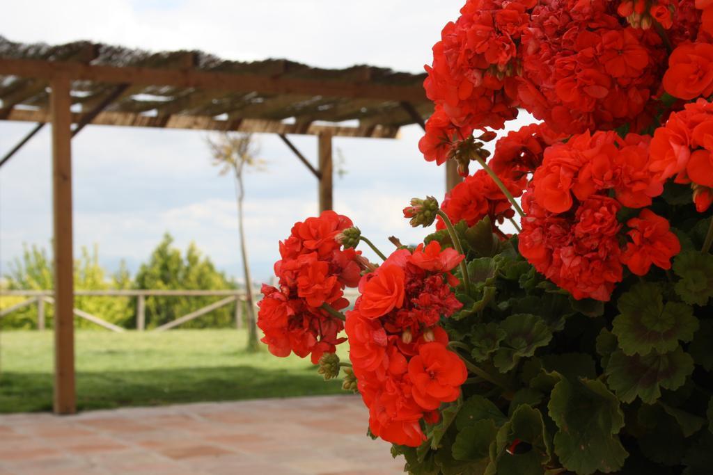 Atalaya De La Campina Hotell Córdoba Eksteriør bilde